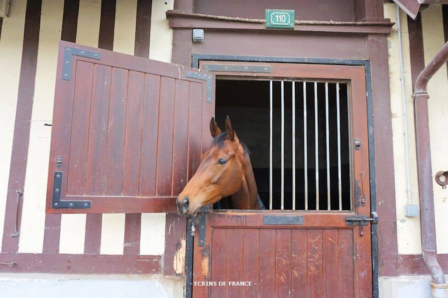 そうだ、馬が好きならドーヴィルへ行こう！