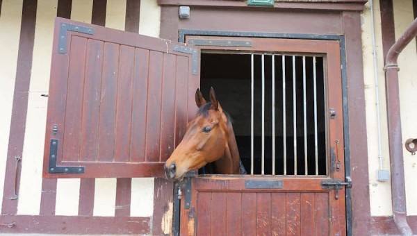 そうだ、馬が好きならドーヴィルへ行こう！