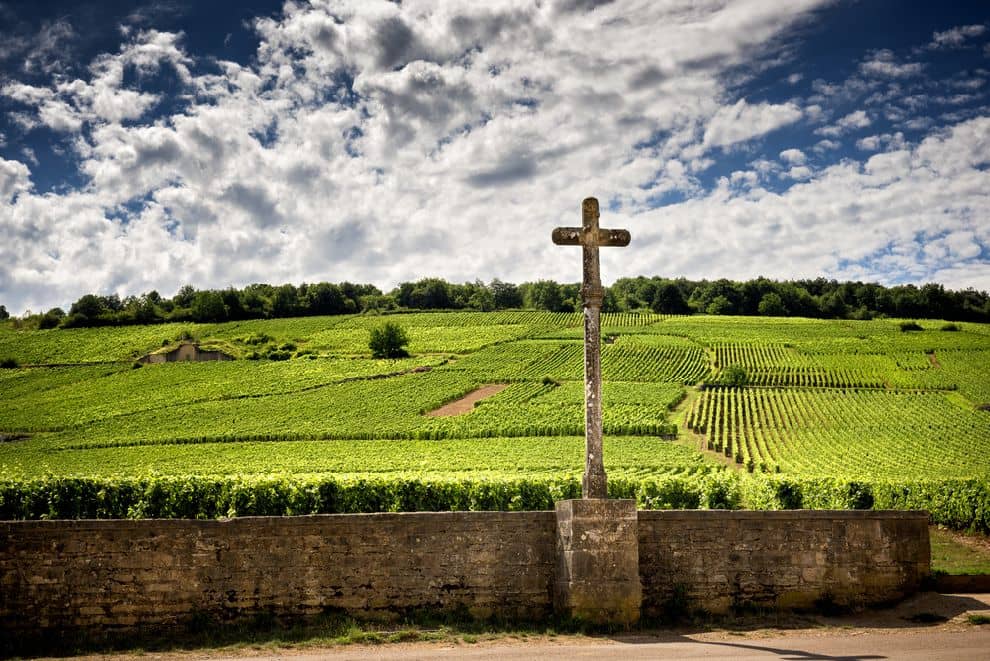 ブルゴーニュワイン<1日>