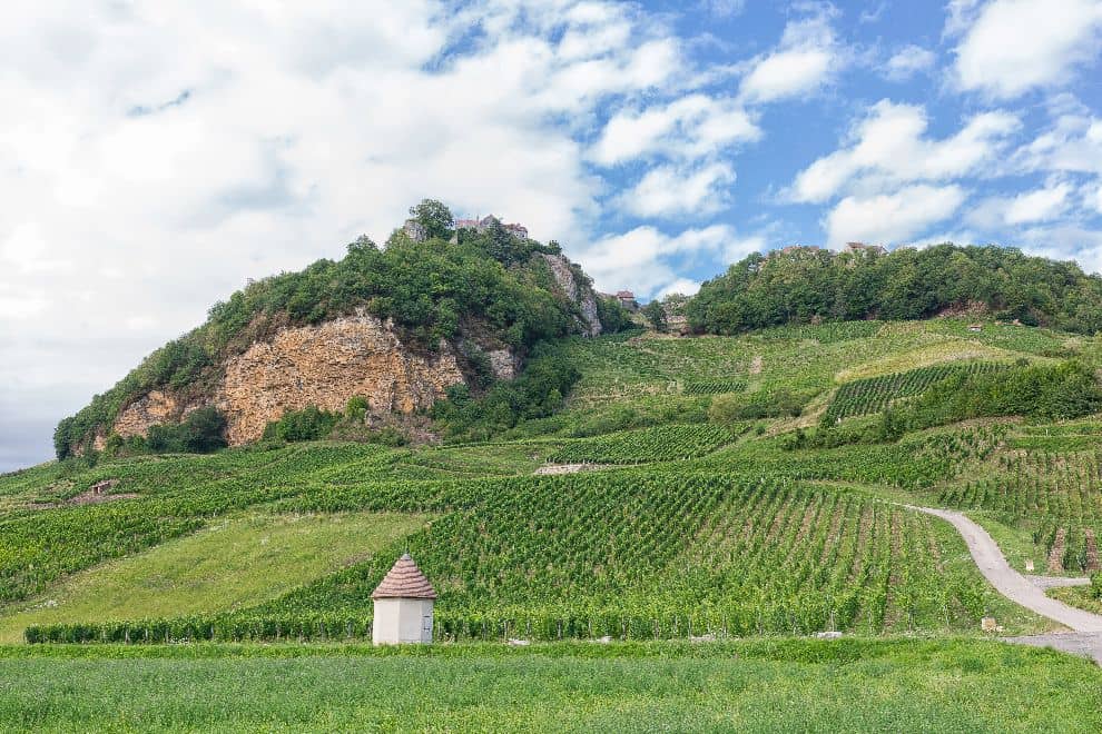 ジュラワイン<1日>