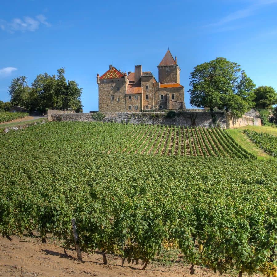 ブルゴーニュのぶどう畑とシャトー