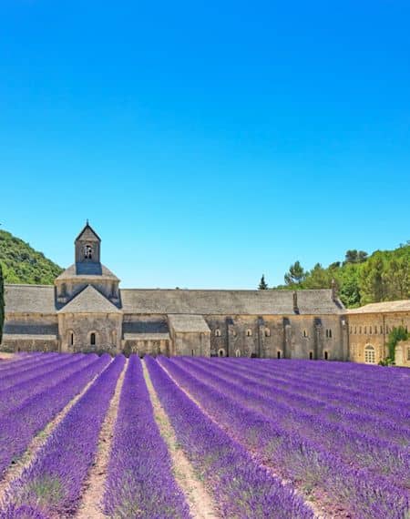 【現地発着ツアー】南仏プロヴァンス地方