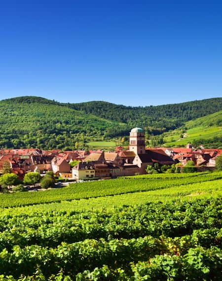 【ワインの産地】アルザス地方