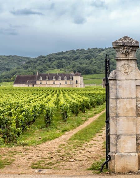 【ワイン産地】ブルゴーニュ地方