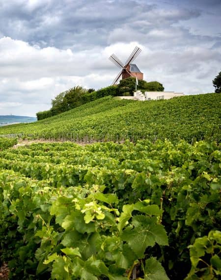 【ワインの産地】シャンパーニュ地方