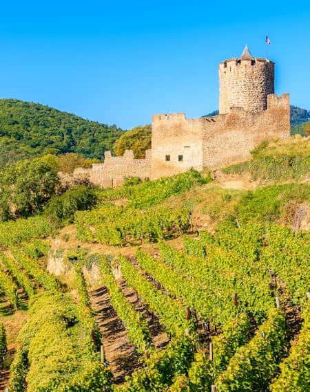 【ワインの産地】ジュラ・サヴォワ地方