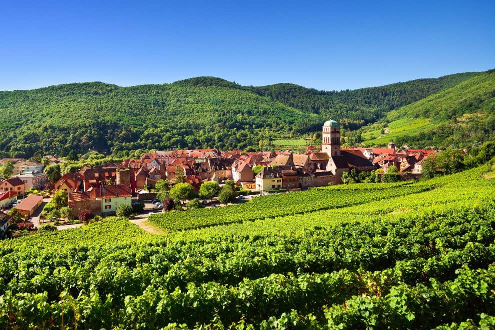 ワイン街道<1日>