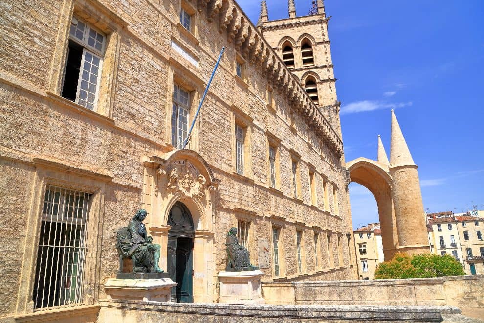 送迎専用車:モンペリエ~市内